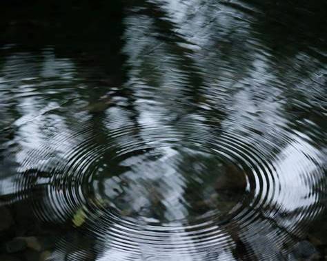 Concentric ripples spreading across dark water