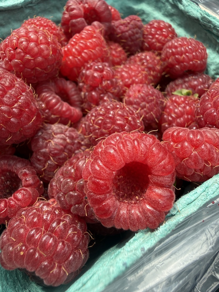 Close view of ripe raspberries