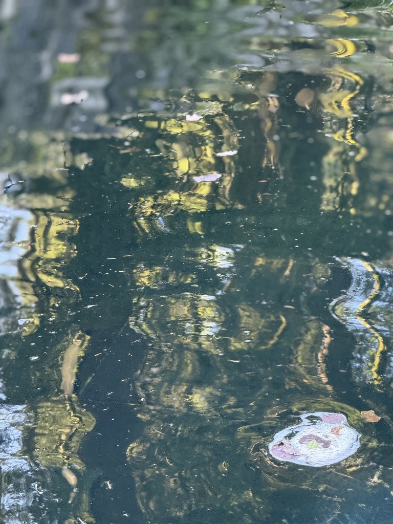 Abstract reflections on green water