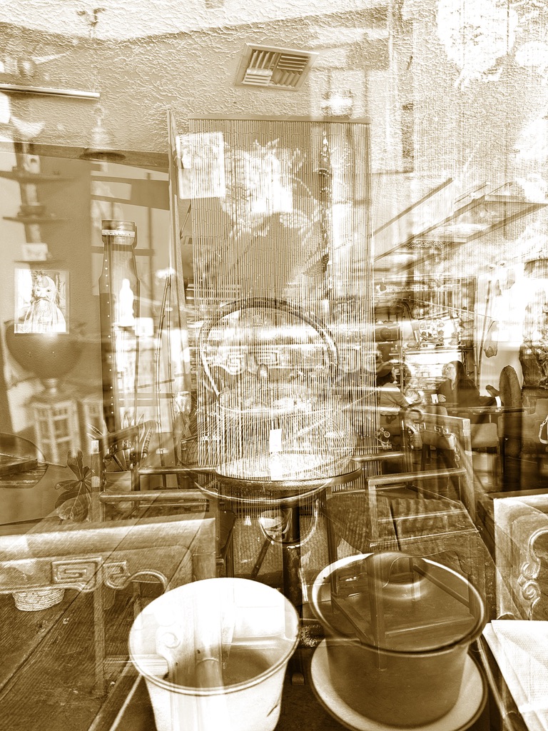 Layered reflection in an antique shop window