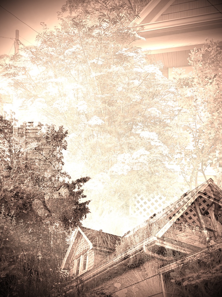 Layered sepia study of houses and trees