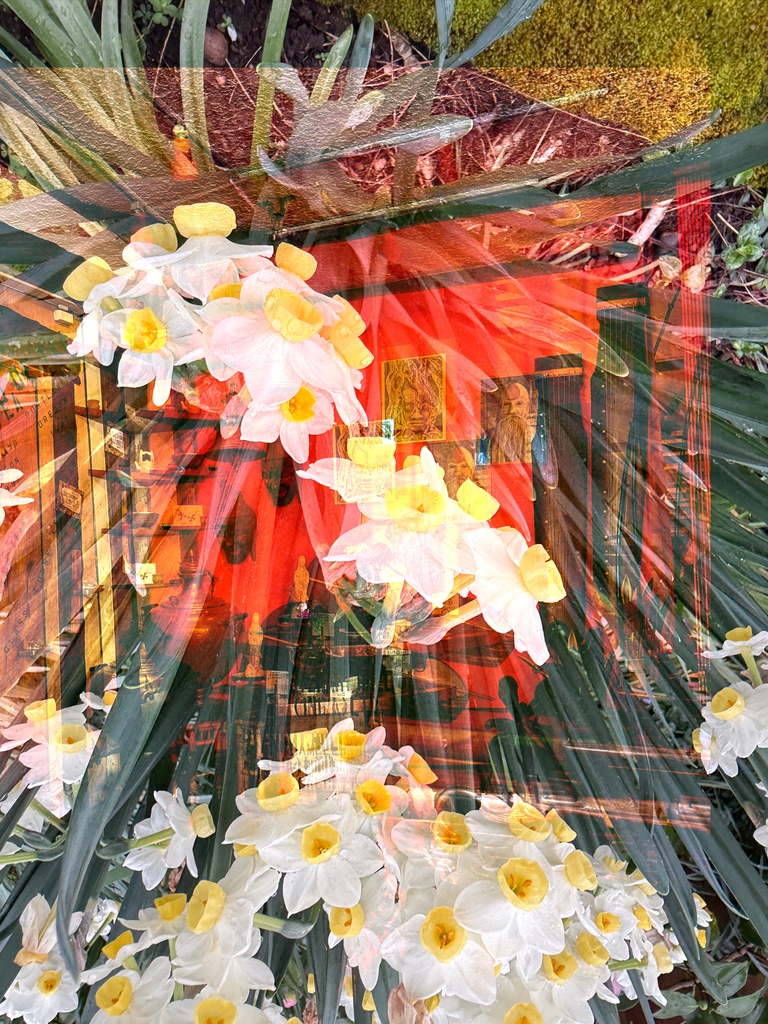Layered image of flowers and a red interior