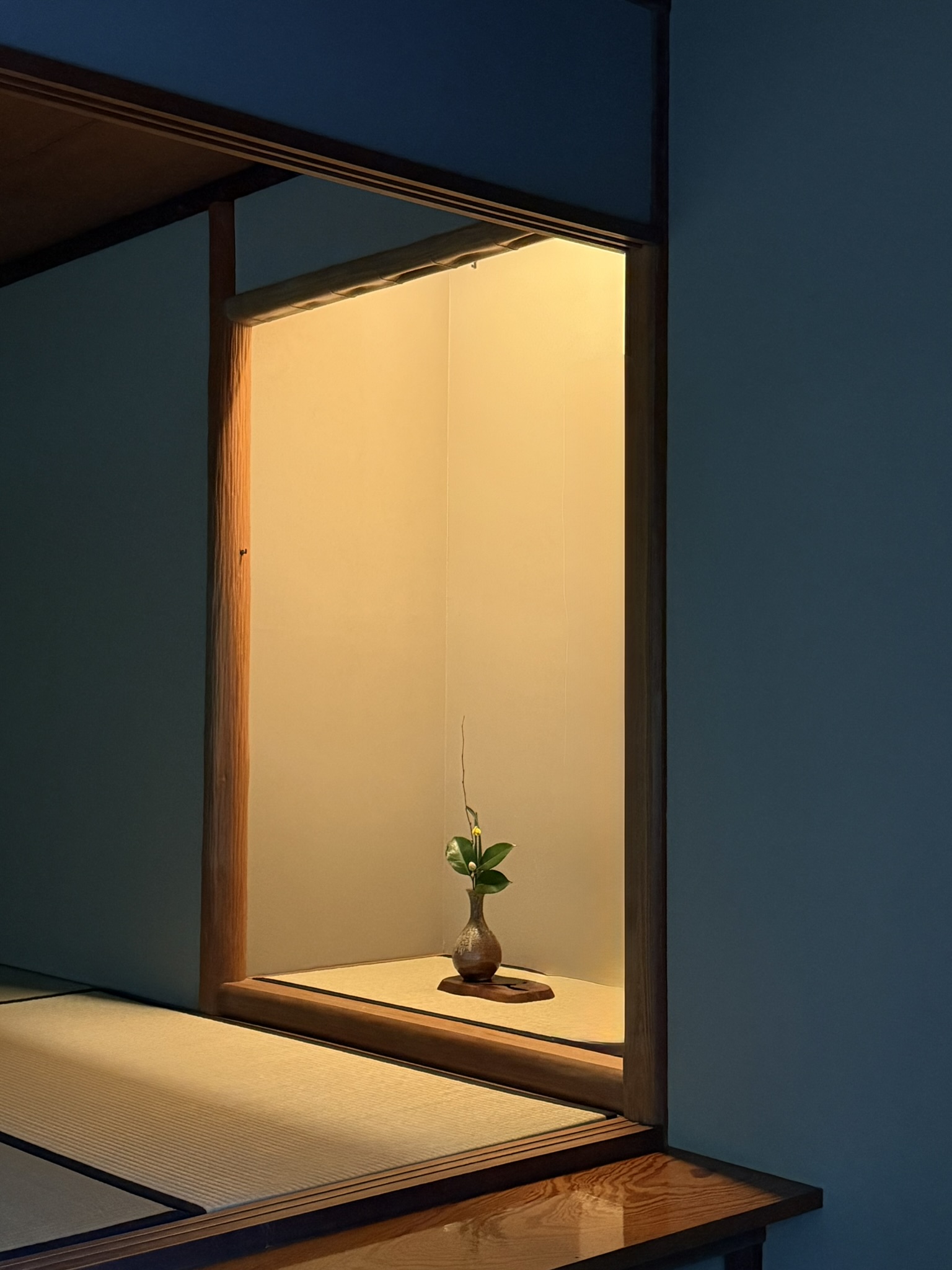 Single flower in a warmly lit alcove